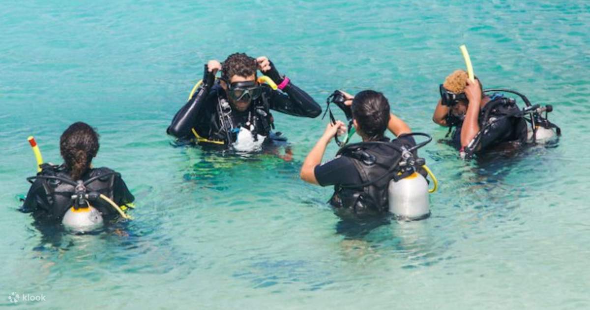Scuba Diving Experience for Beginners in Dubai Klook